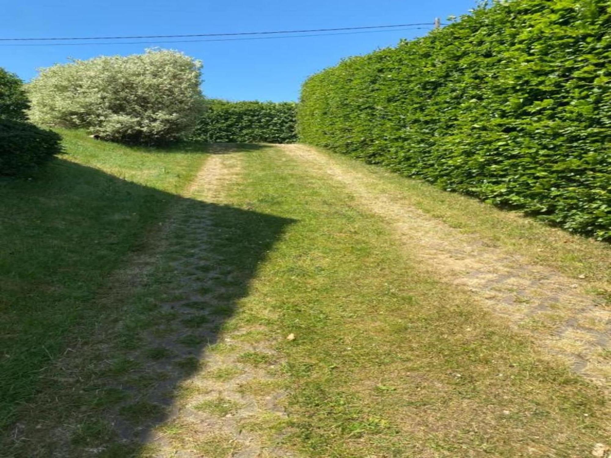 Holiday Apartment In Steffenshagen With Garden Exteriör bild