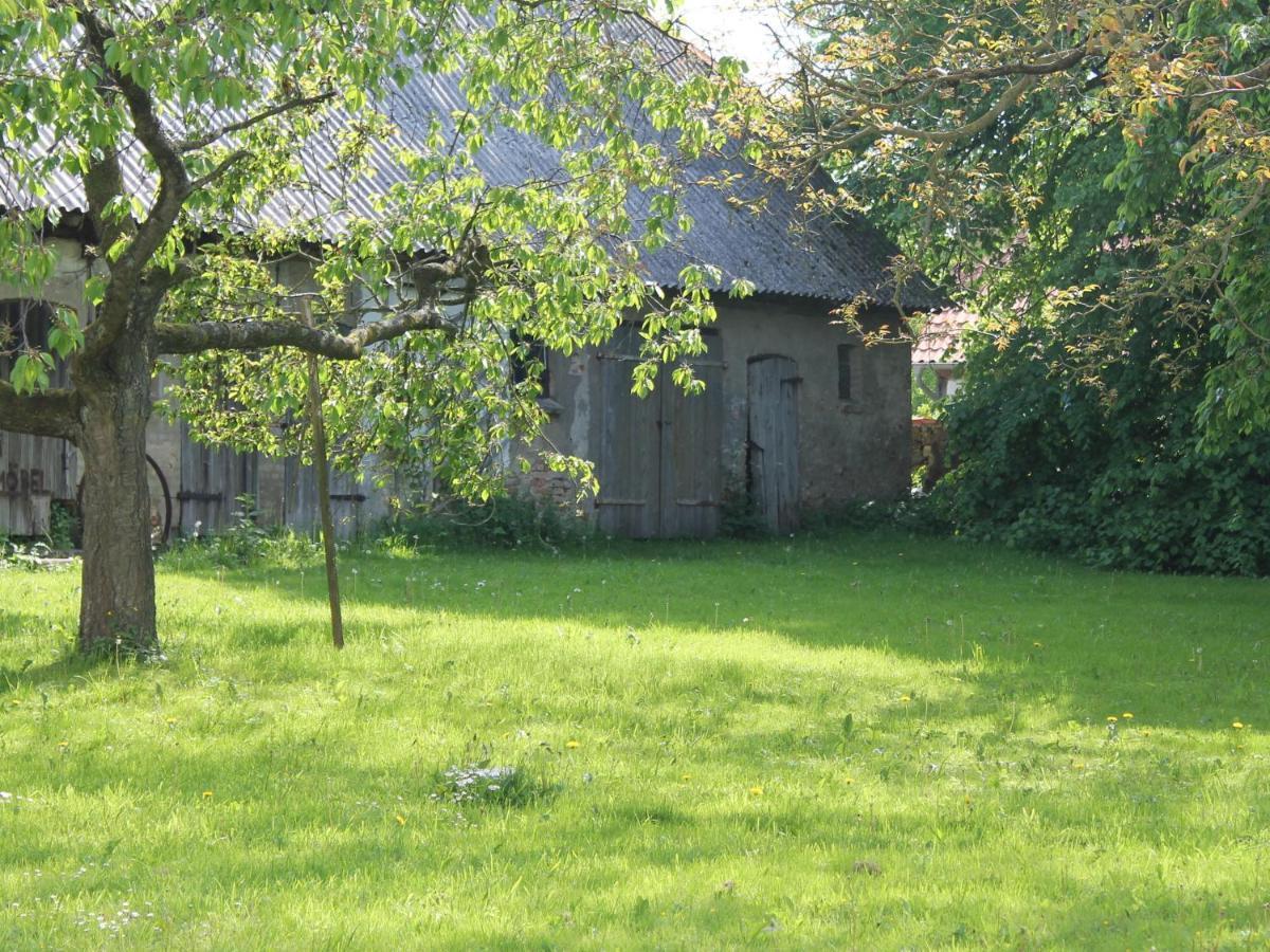 Holiday Apartment In Steffenshagen With Garden Rum bild
